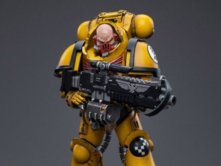 Warhammer 40K - Imperial Fists - Heavy Intercessor Rogfried Pertanal